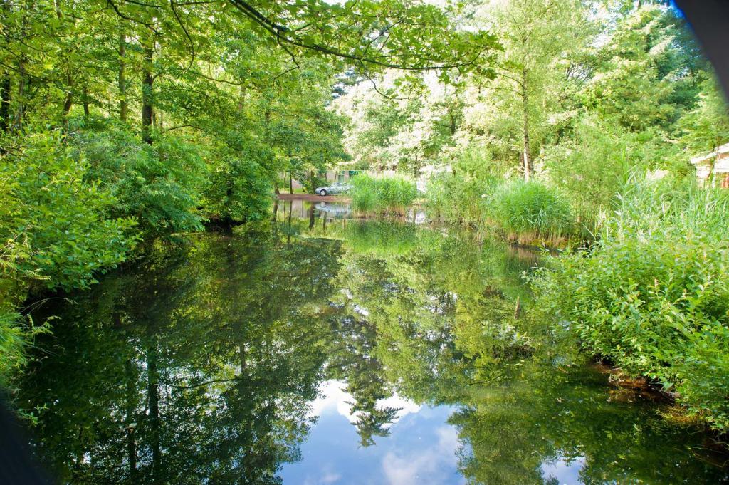 Vakantiepark De Berkenhorst Kootwijk ภายนอก รูปภาพ